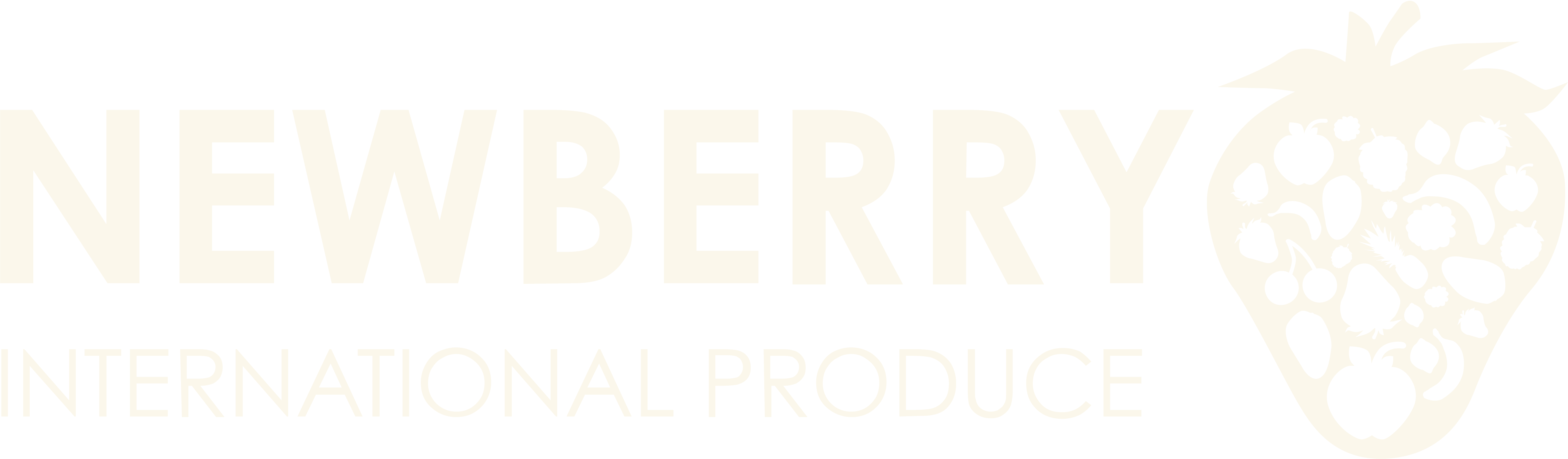 NewBerry International Logo